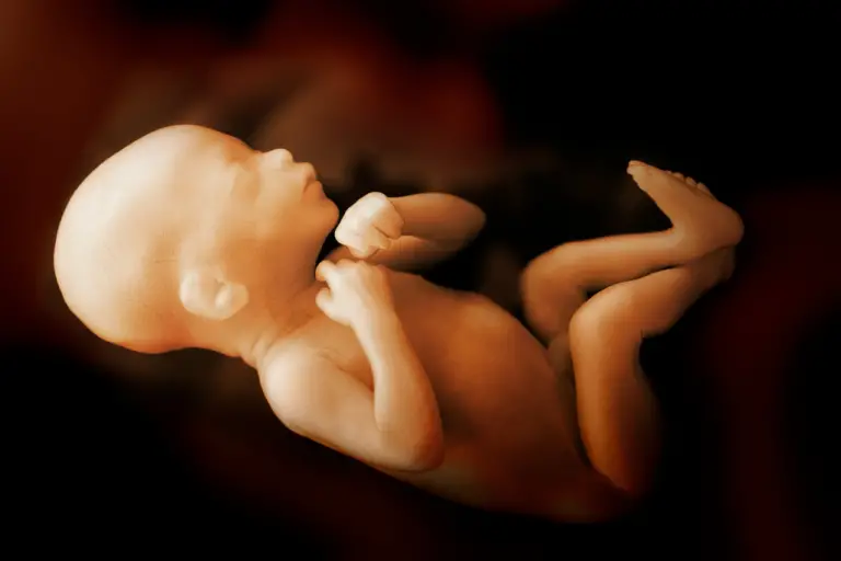 How Does a Baby Breathe in the Womb?