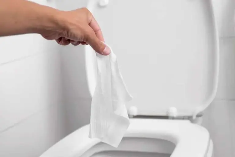 Can You Flush Baby Wipes?